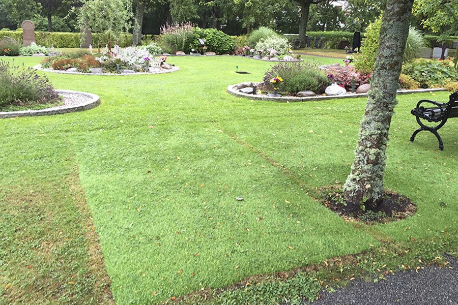 web_0010_Memorial grove3